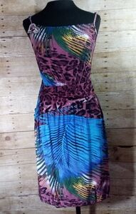 Julia multi colored dress with animal prin…